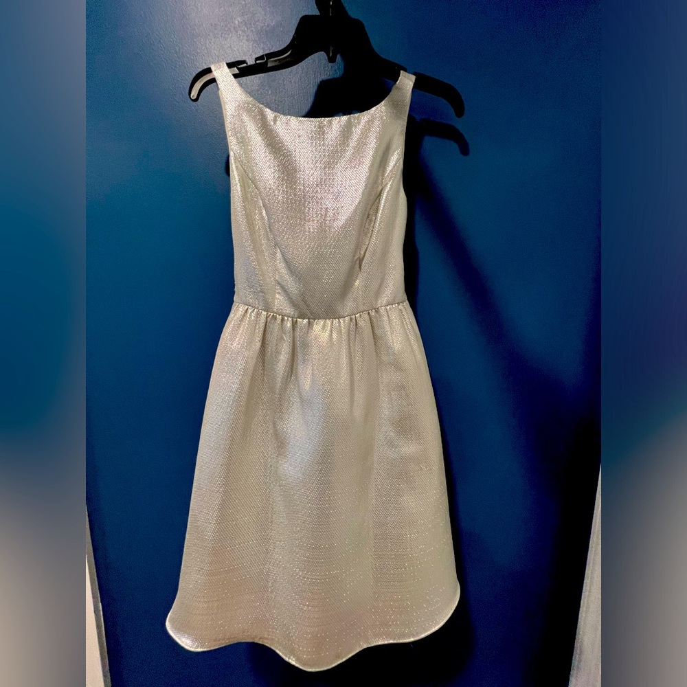 Beautiful Silver Dress-NWT